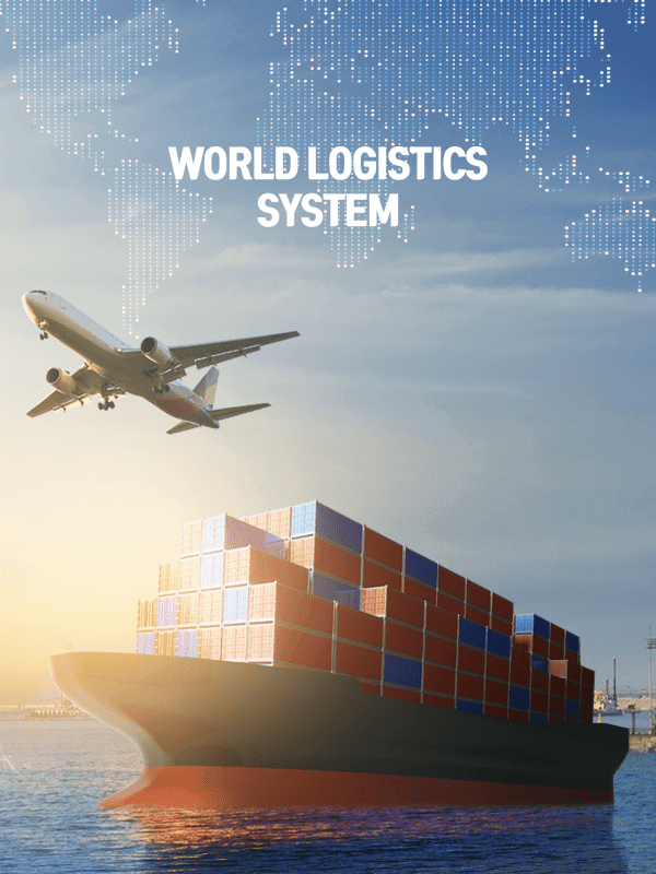 world logistics system